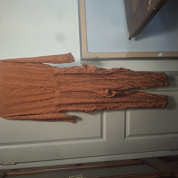 Vibrant Orange Jumpsuit with Silky Relaxed Fit - Picture 4 of 7